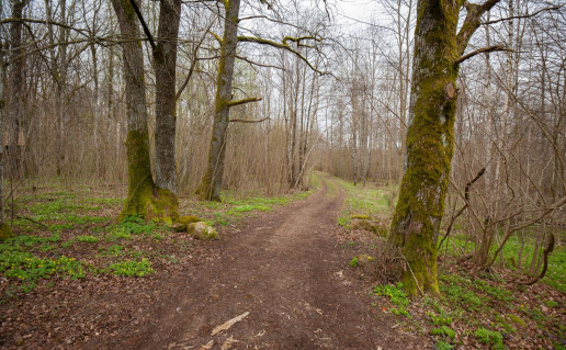 34_Šilalės pažintinis takas 1 (2).jpg